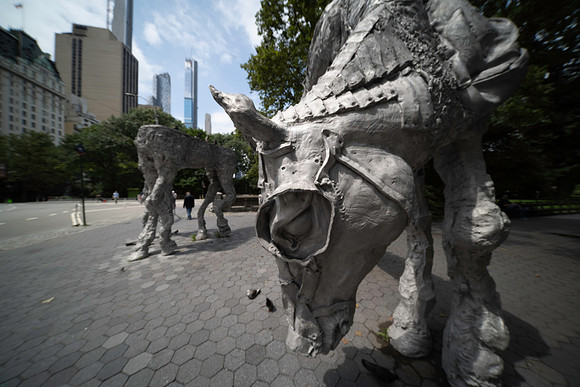 _DSC1514-2
