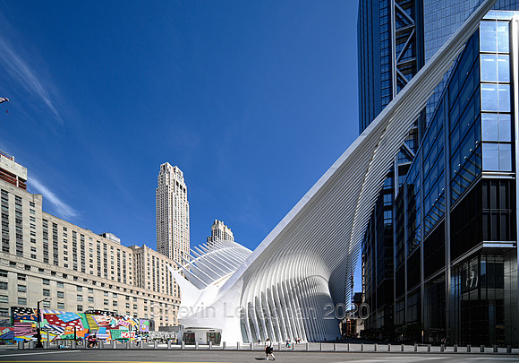 _DSC2342-2