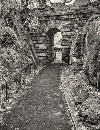 _DSC9980-2-3